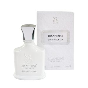عطر جیبی برندینی مدل Silver Mountain حجم 33 میلی لیتر