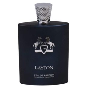 ادو پرفیوم مردانه فراگرنس ورد مدل LAYTON حجم 100 میلی لیتر