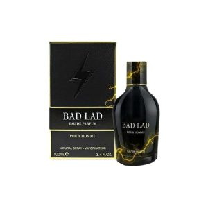ادو پرفیوم مردانه فراگرنس ورد مدل Bad Lad حجم 100 میلی لیتر