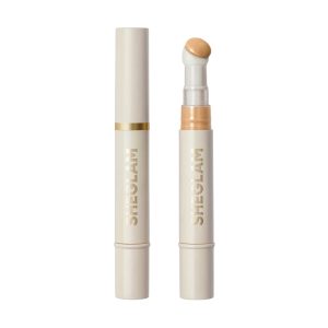 کانسیلر سر اسفنجی شیگلم مدل COMPLEXION BOOST رنگ NUDE