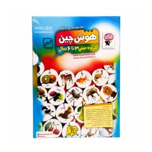 بازی فکری هوش چین 3 تکه